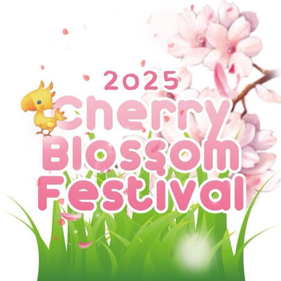Cherry Blossom Festival 2025